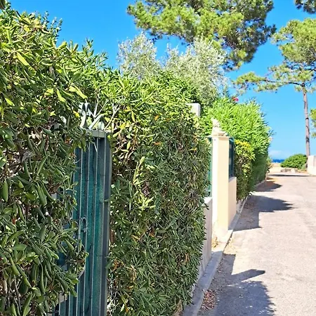 Mini Villa Jardin 50 M Plage Borgo  Extérieur photo