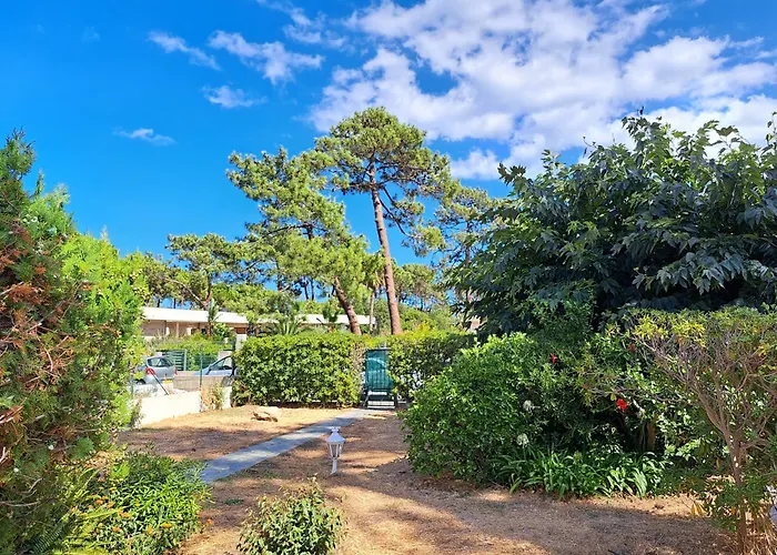 Mini Villa Jardin 50 M Plage