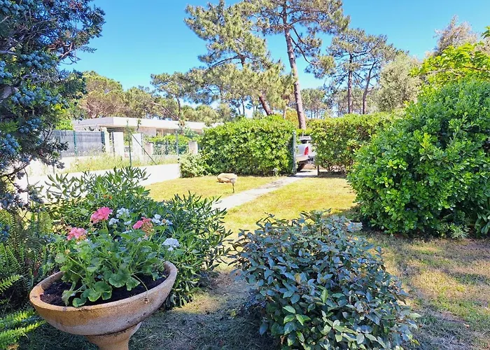 Mini Villa Jardin 50 M Plage
