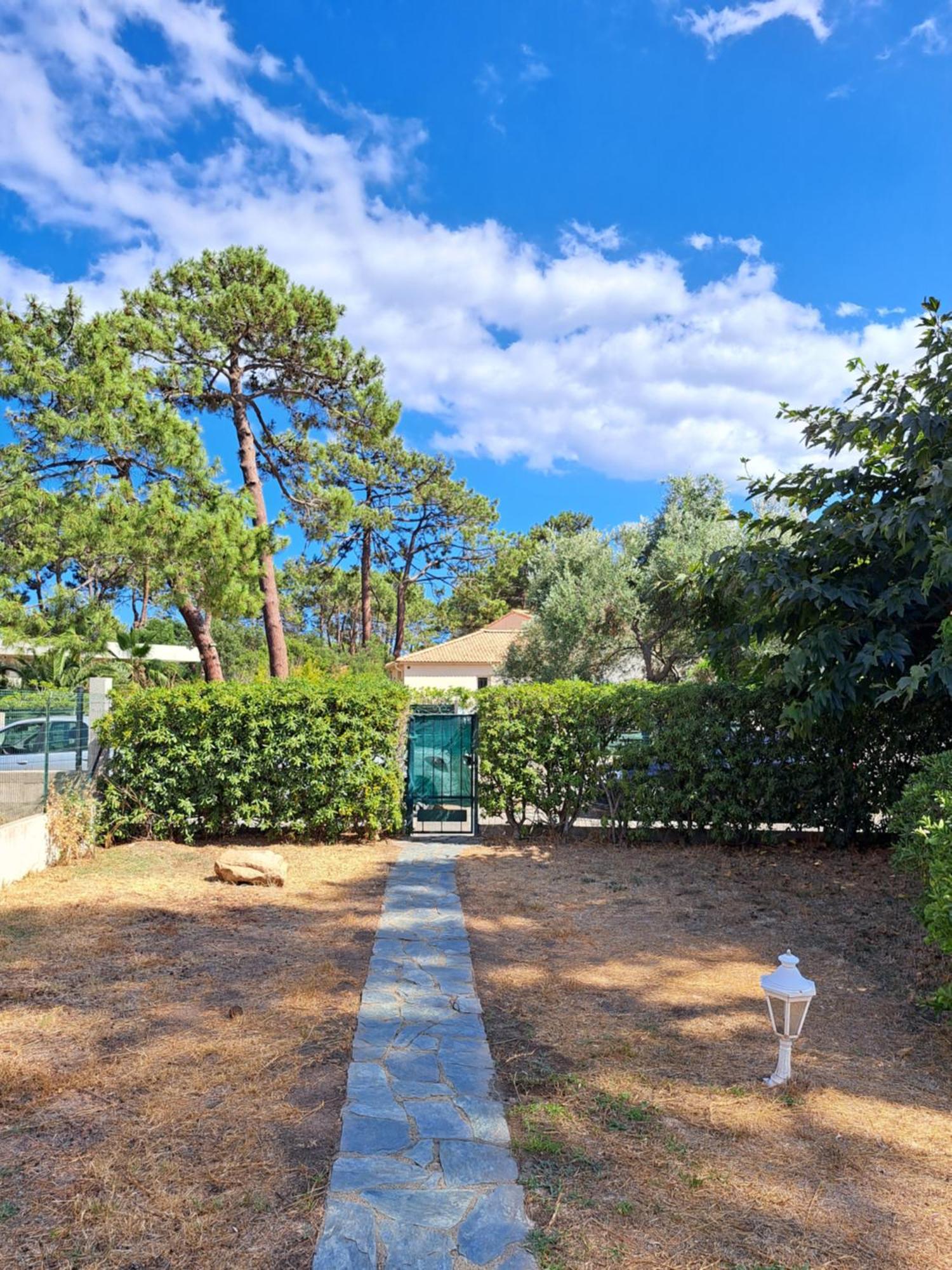 Mini Jardin 50 M * Borgo (Corsica)