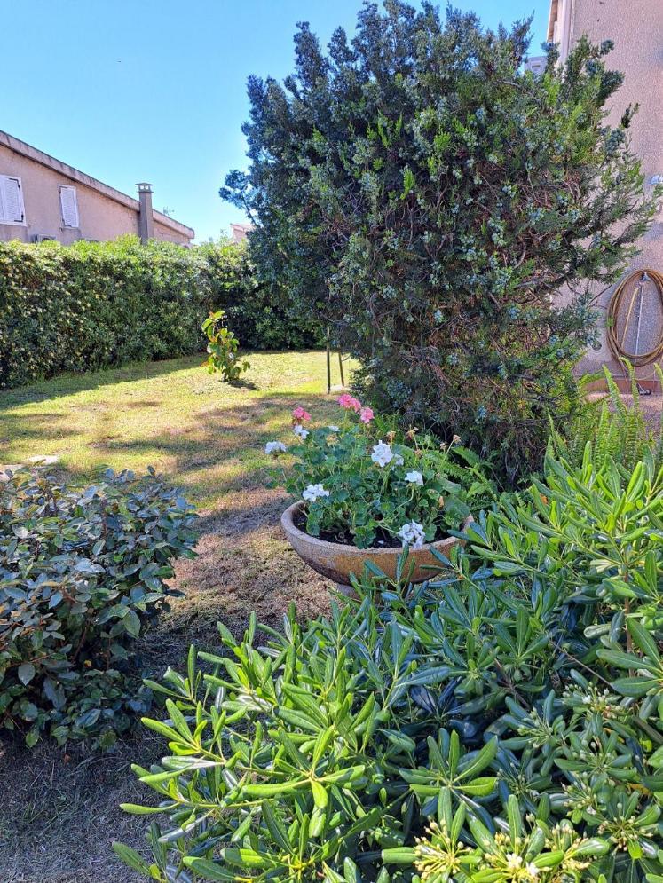 Mini Jardin 50 M Vakantiehuis Borgo (Corsica)