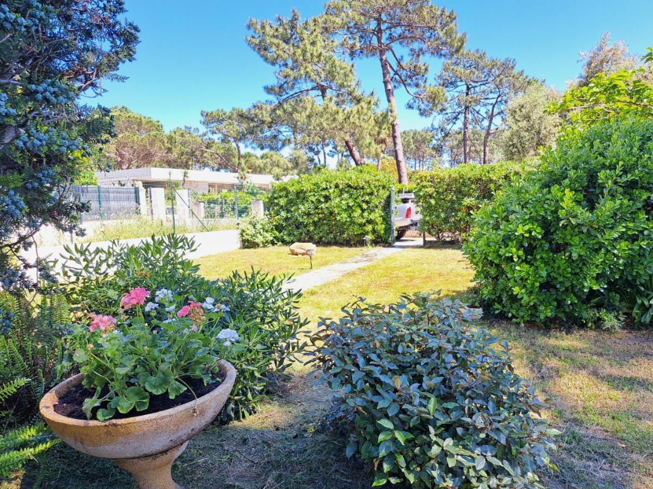Vakantiehuis Mini Jardin 50 M *
